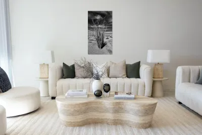 Desert Drama Reproduction