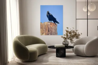 Raven - guardian of the Grand Canyon  Reproduction