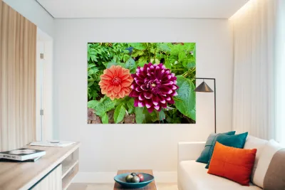 Nature’s Take on Balance and Beauty Reproduction