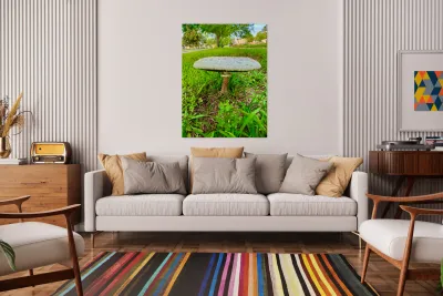 Crowned by the Earth Reproduction