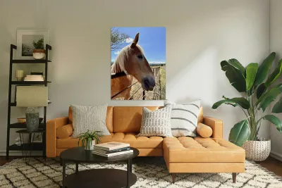 Hay Girl  Reproduction