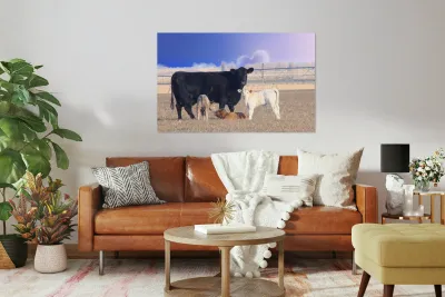 Calving Season Reproduction