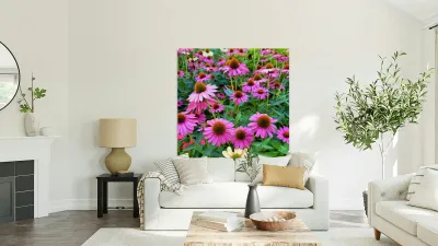 The Garden Collective Reproduction