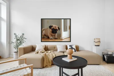 Pug Puppy Discovers The Pet Door Reproduction