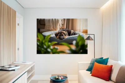 German Shepherd Puppy Getting Sleepy In Cozy Bed Reproduction