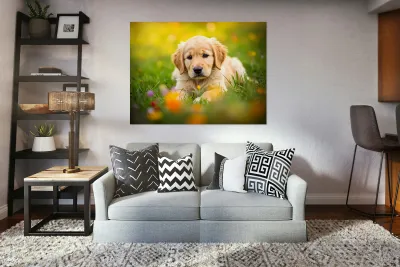 Golden Puppy Discovers The Perfect Stretch Position Reproduction