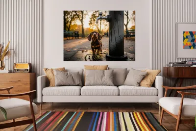Dachshund Puppy Discovers Water Fountain Reproduction