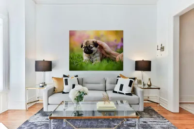 Pug Puppy Gets Gentle Ear Scratches In Garden Reproduction