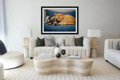 Puppy And Cat Snuggle Together Peacefully Reproduction