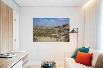 The Badlands Reproduction