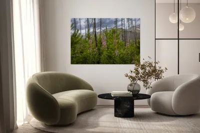 New Life Reproduction