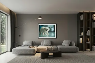 Bichon Frise Puppy Discovers His Reflection Reproduction