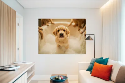 Peaceful Labrador Puppy Enjoying Calm Bath Time Reproduction