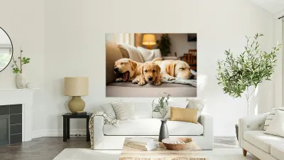 Golden Puppy Finds Spot On Crowded Couch Reproduction