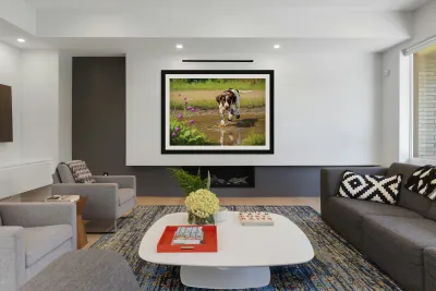 German Shorthaired Pointer Puppy Discovers Muddy Puddle Reproduction