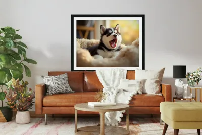 Sleepy Siberian Husky Puppy Dreams In Cozy Bed Reproduction