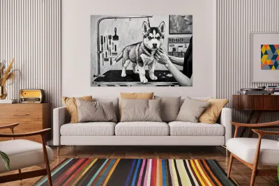 Siberian Husky Puppys First Trip To The Groomer Reproduction