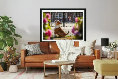 Bulldog Puppy Waits By School Gate Reproduction