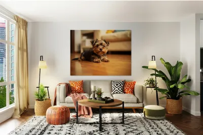 Yorkshire Terrier Puppy Caught Climbing Forbidden Sofa Reproduction