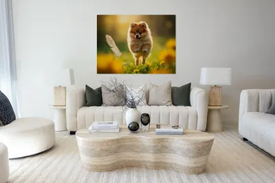 Feather Lands On Happy Pomeranian Puppy Reproduction