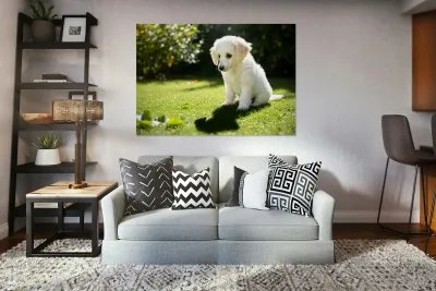 Poodle Puppy Discovers Shadow Play On Sunny Day Reproduction
