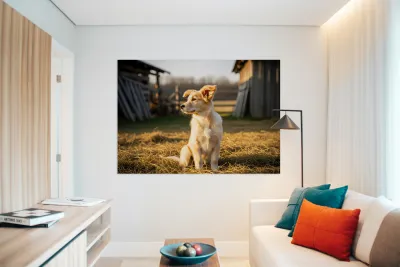 Sleepy Golden Retriever Puppy Rests In Cozy Haystack Reproduction