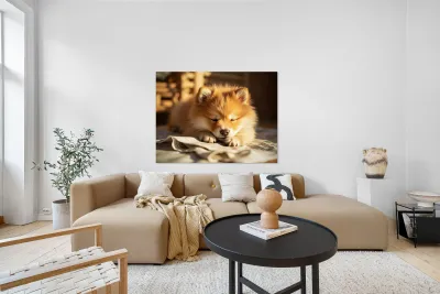 Alert Pomeranian Ready For Adventure Reproduction