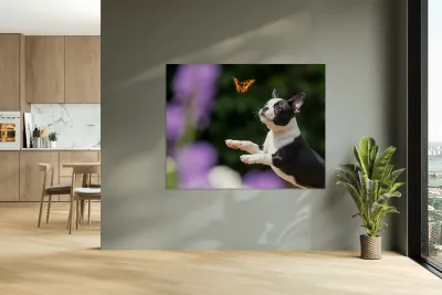 Boston Terrier Puppy Spots Butterfly In Garden Reproduction