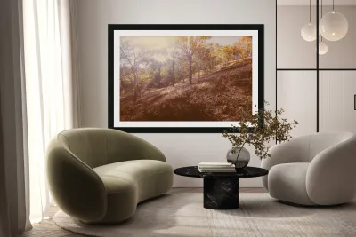 The Warmth Reproduction