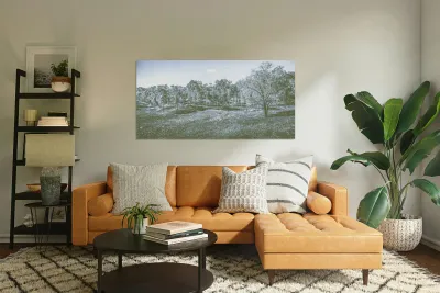 Wide Winter Wonder Reproduction