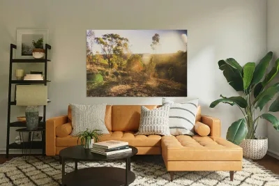 Flares And Fades Reproduction