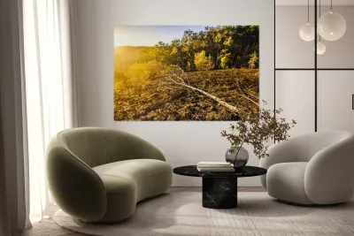 Awash In Sundown Reproduction