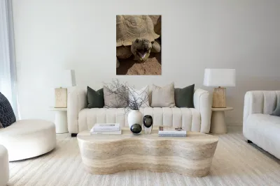 Happy Tortoise Reproduction