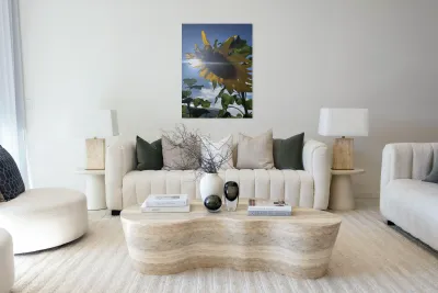 Sunflower and Sunlight Reproduction