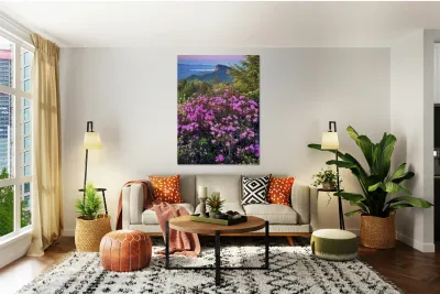 Magical Morning  Reproduction