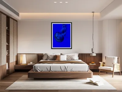 Indigo Jellyfish Reproduction