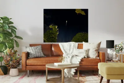 Les belles eaux noires Reproduction