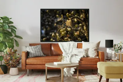 Le petit curieux Reproduction