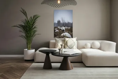 Cole la Legende Reproduction