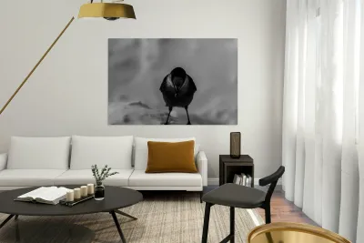 Pimbina Reproduction