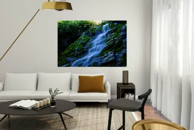 Les tropiques en Gaspesie Reproduction