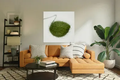 Balloon Plant Reproduction