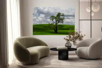 8720 Palouse Reproduction