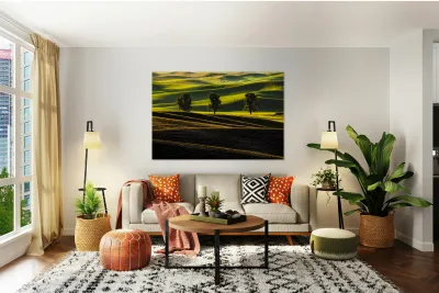 SLP0401 Palouse Reproduction