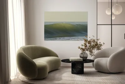 Fish Shadows  36.24 Reproduction