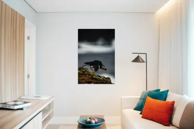 Off the Cliff it went Reproduction