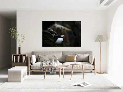 Shake the fog off Reproduction