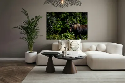 Bullwinkle I Reproduction