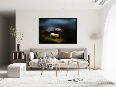 Colorful Reproduction