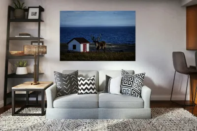 Southern Tundra Bull Reproduction